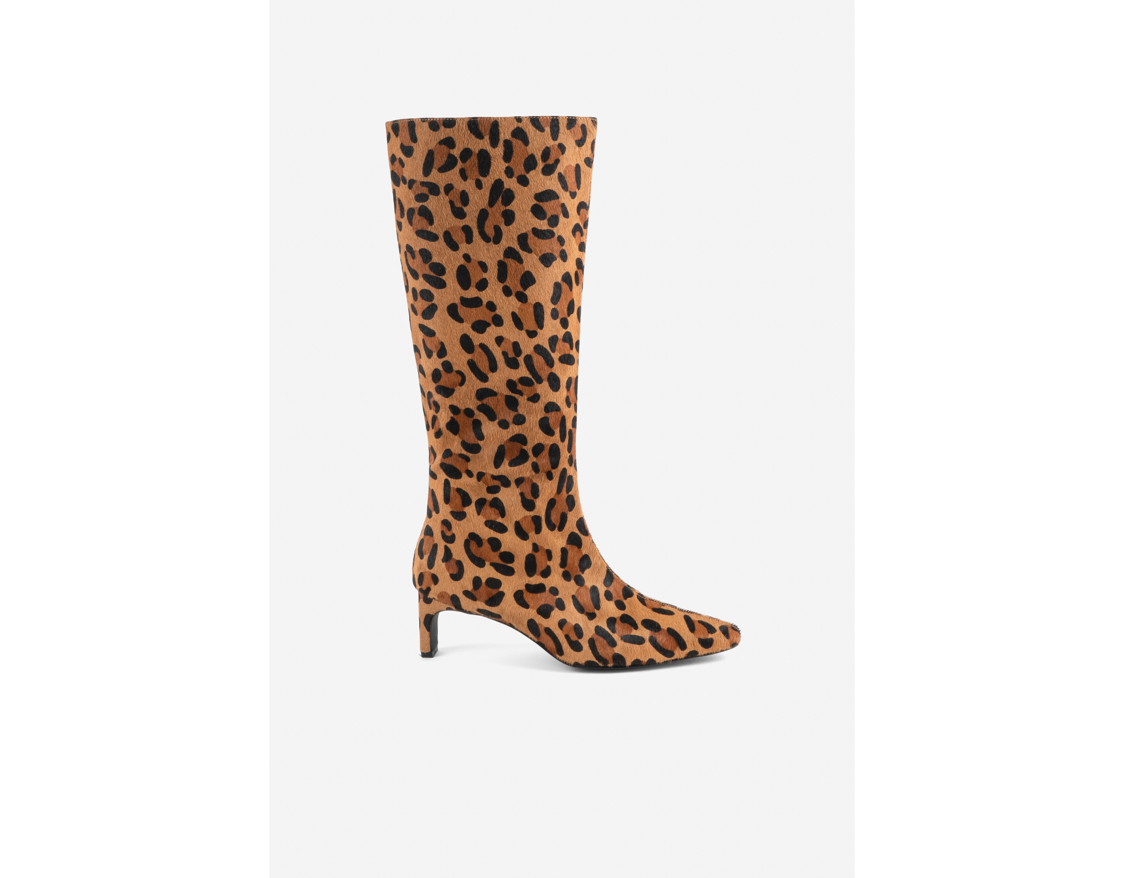 Intentionally Blank Seville Tall Pointed-Toe Boots