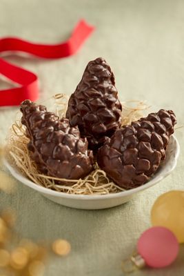 Terrain Knipschildt Chocolate Pine Cones