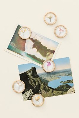 Floral Magnets