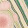 4 X 6 - Meadow Swirl