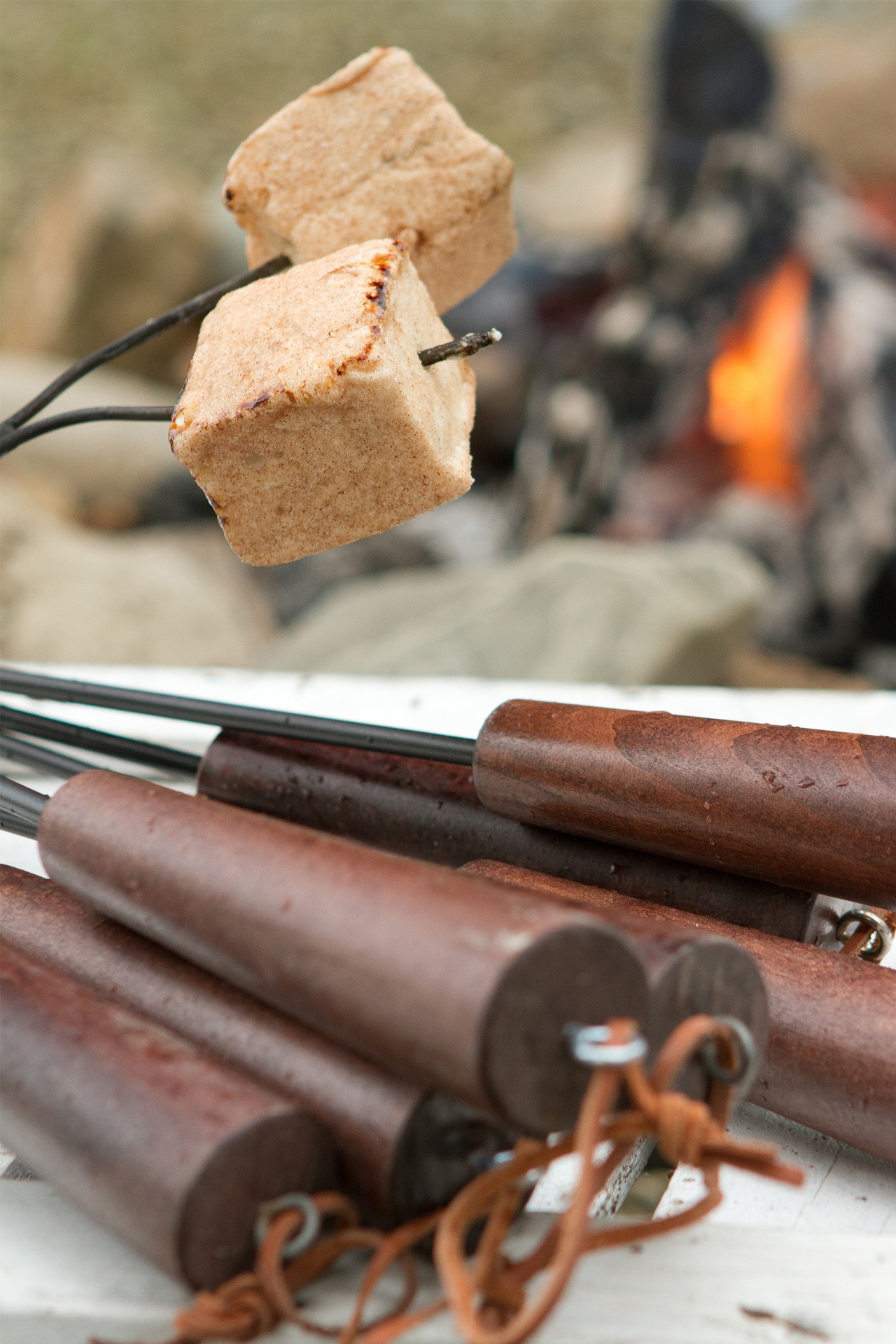 Marshmallow Twig Roaster