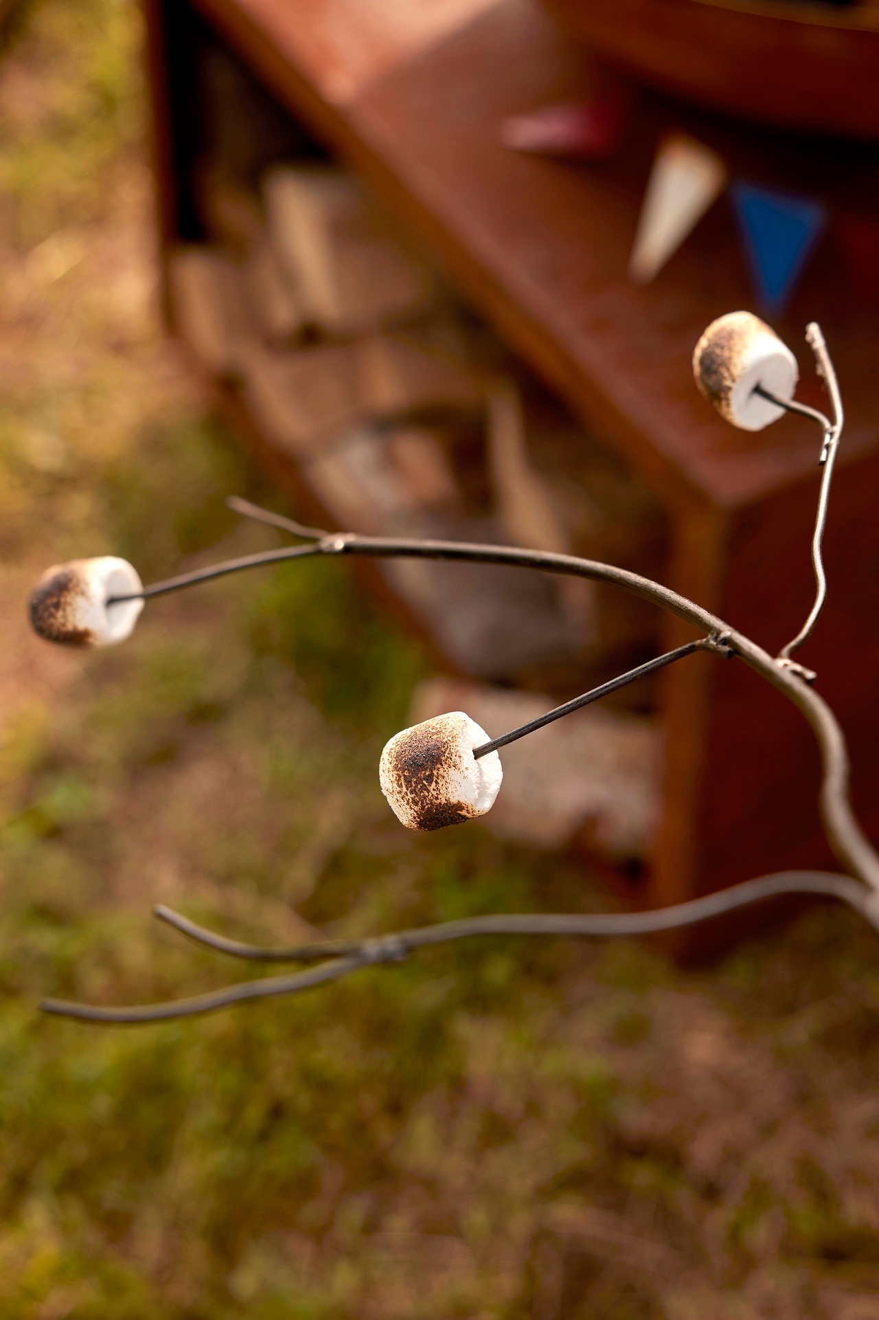 Marshmallow Twig Roaster