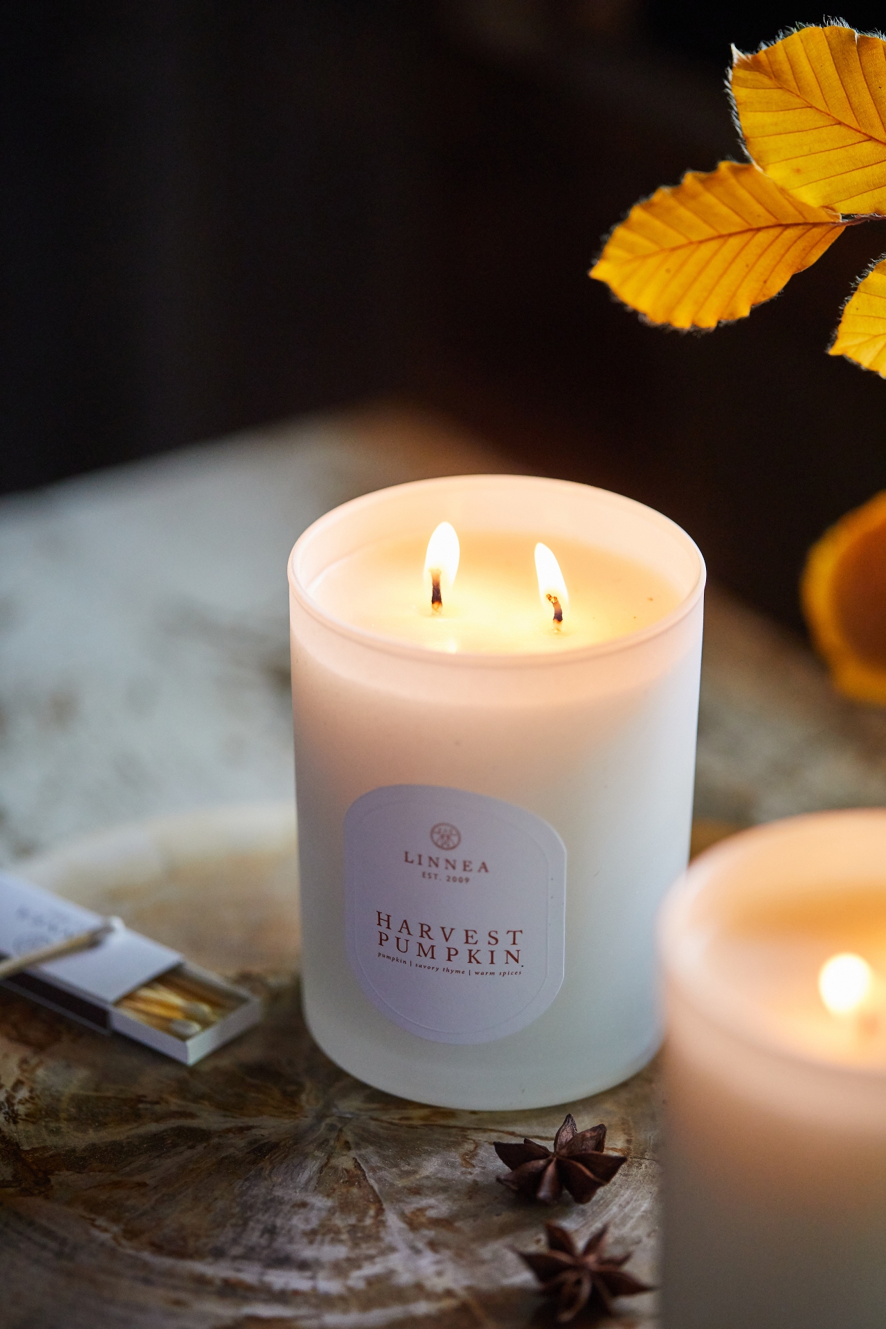 Linnea Candle, Harvest Pumpkin