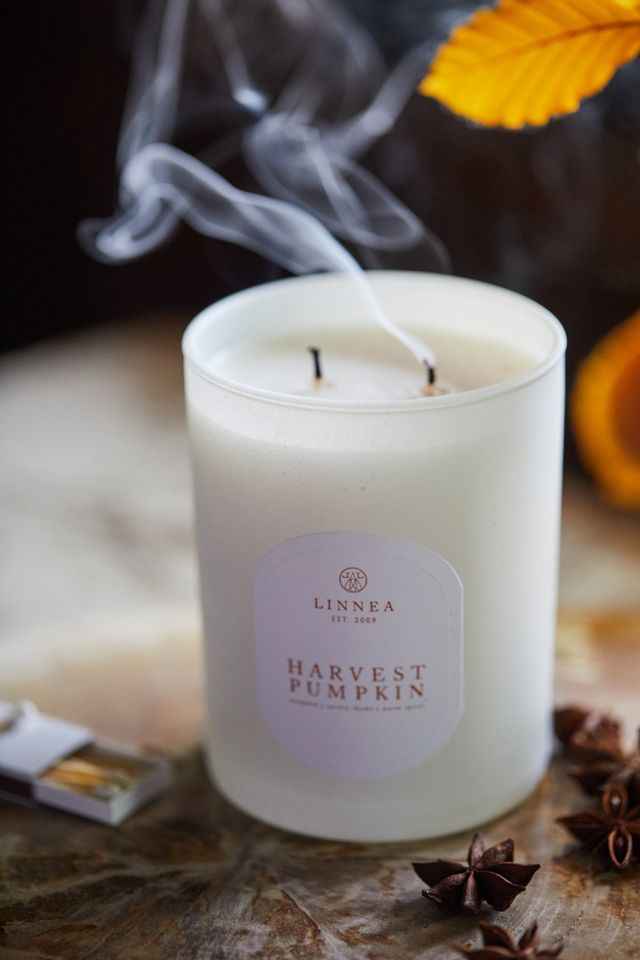 Linnea Candle, Harvest Pumpkin #1