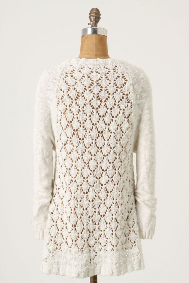 Ensnared Ideas Pullover #1