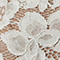 Ivory/Almond