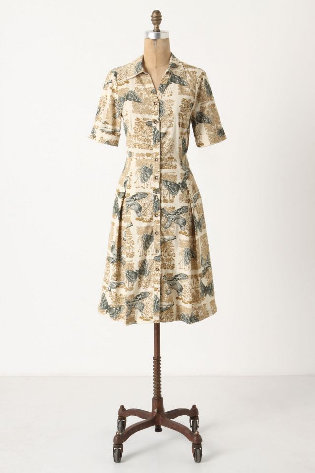 Alary Shirtdress | Anthropologie