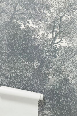 Etched Arcadia Floral Landscape Mural