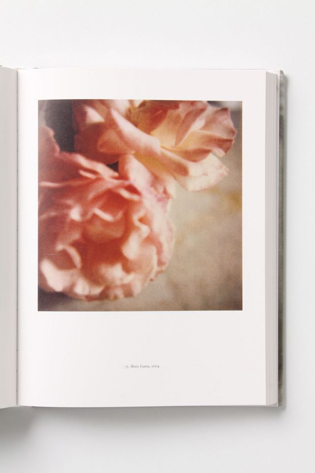 アート・デザイン・音楽 CY TWOMBLY PHOTOGRAPHS 1951-2007 Cy Twombly: Photographs 1951–2007 Rare Book | Gagosian Shop
