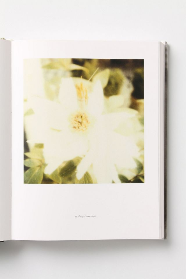 Cy Twombly: Photographs 1951 - 2007 | Anthropologie