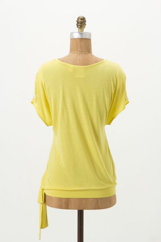 Lemon Orchards Top #1