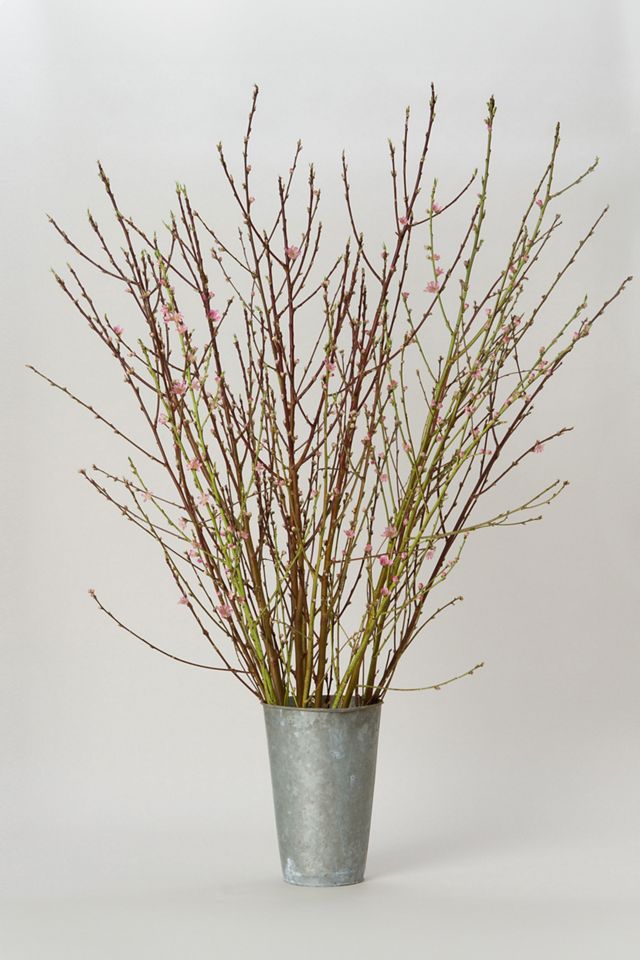 Seasonal Pink Blossom Branches #4