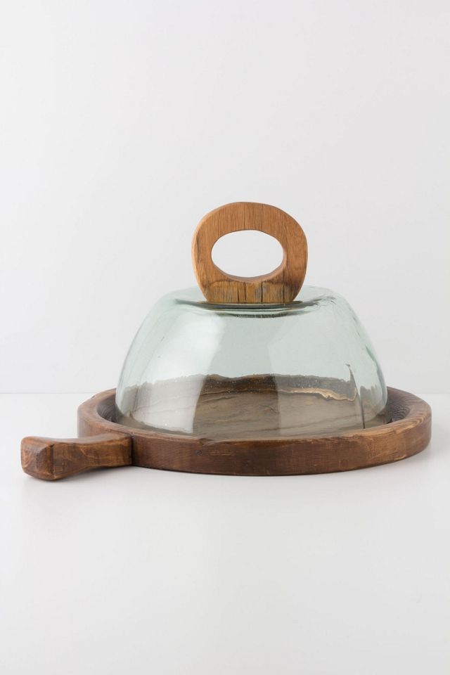 Erstwhile Cheese Dome Anthropologie