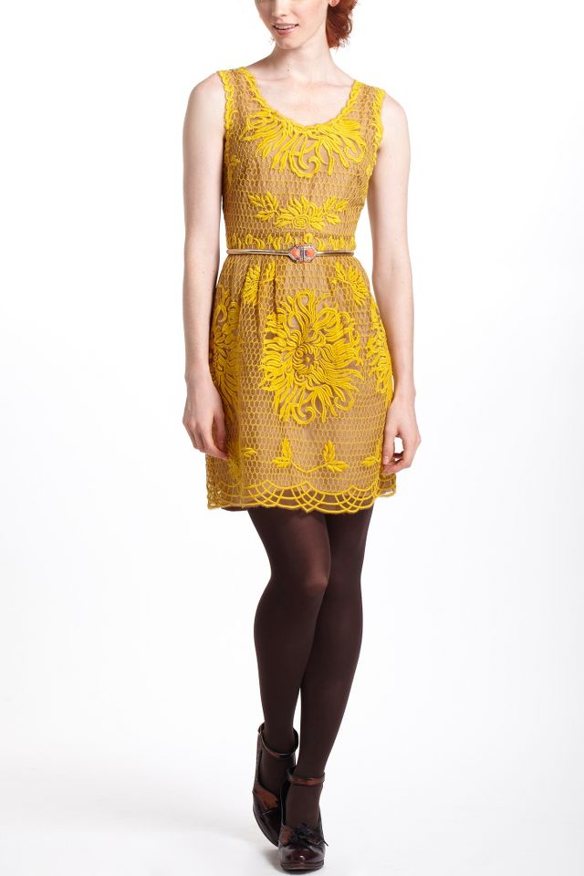 Honeycomb Lace Dress Anthropologie
