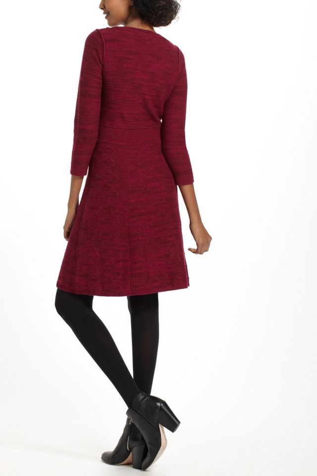 Vinifera Sweater Dress #2