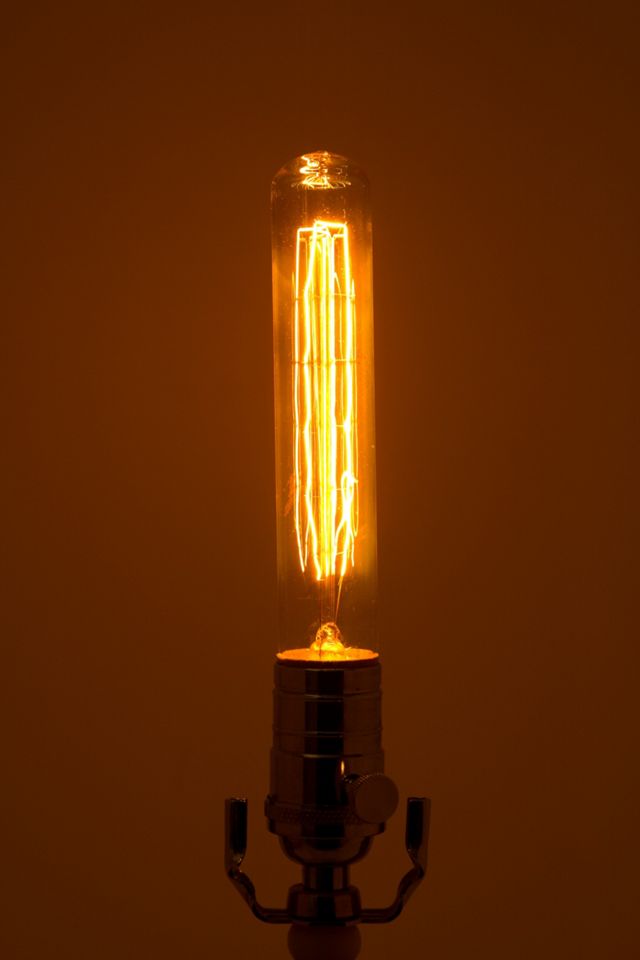 Edison Bulb, Long #1