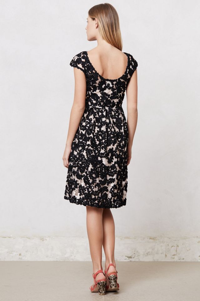 Jardim Lace Dress #3