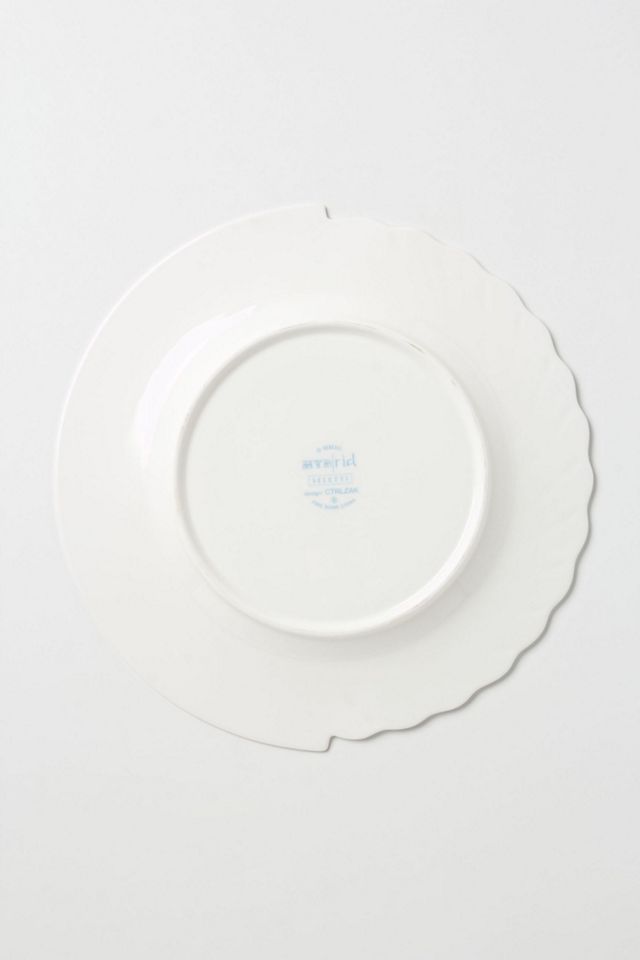 Unlikely Symmetry Dinner Plate #2