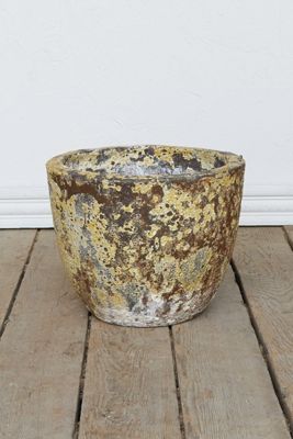 Barnacle Low Egg Pot