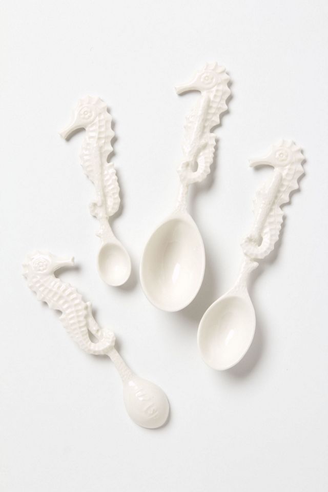 Seahorse Measuring Spoons #1