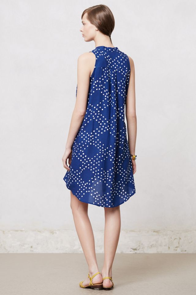 Afternoon Safari Dress #1