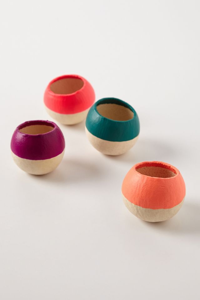 Air Plant Pods  #3