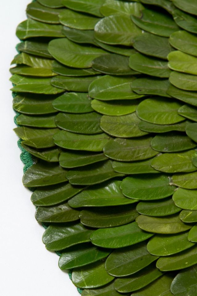 Preserved Boxwood Placemat #2