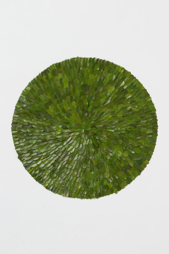 Preserved Boxwood Placemat Anthropologie