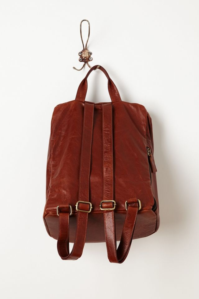 Cupric Backpack #2