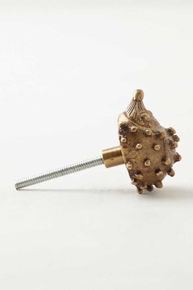 Forest Critter Knob #1