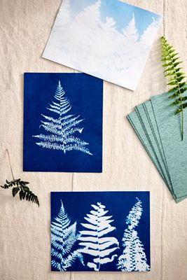 Sun Printing Kit, Large Paper