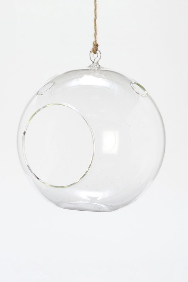 Hanging Bubble Terrarium #1