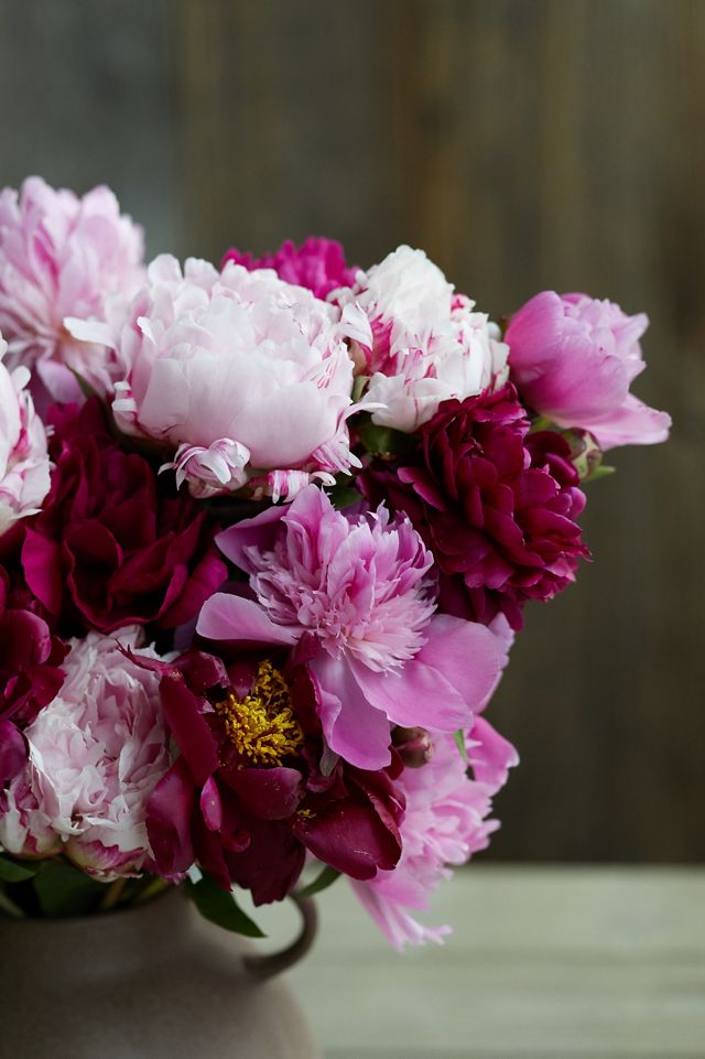 Fresh Peony Bunch #2