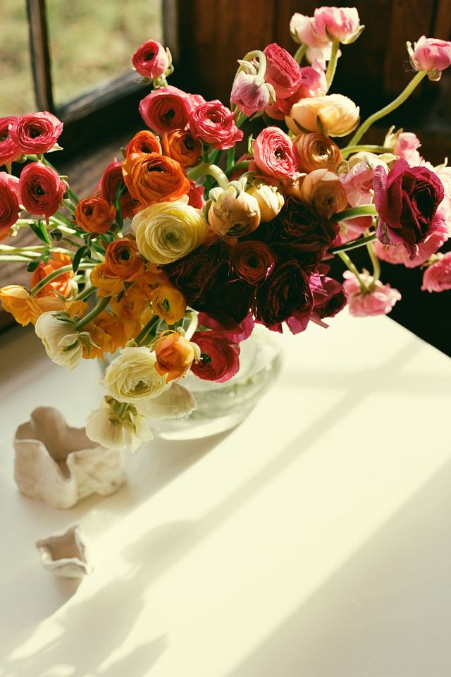 Fresh Ranunculus Bunch #1