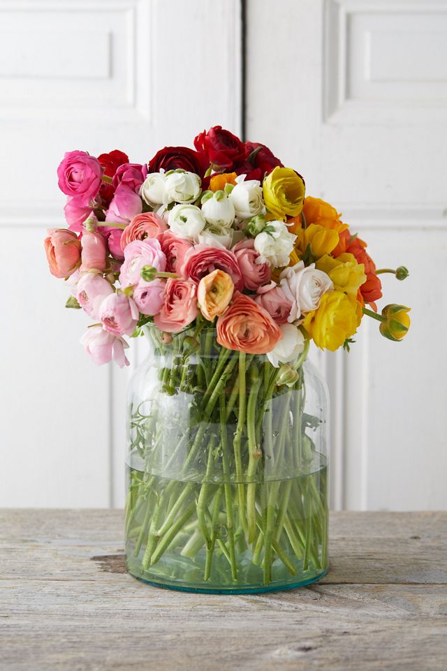 Fresh Ranunculus Bunch #2