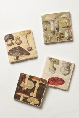 Botticino Marble Coasters