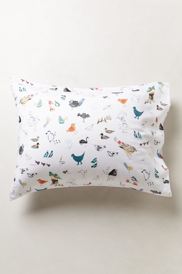 Paths Of Flight Sheet Set #1
