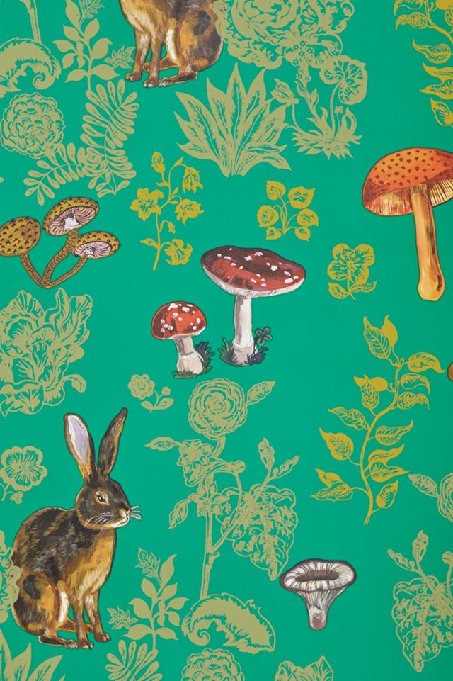 Mushroom Forest Wallpaper #2