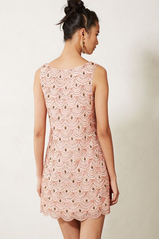 Anthropologie shift clearance dress