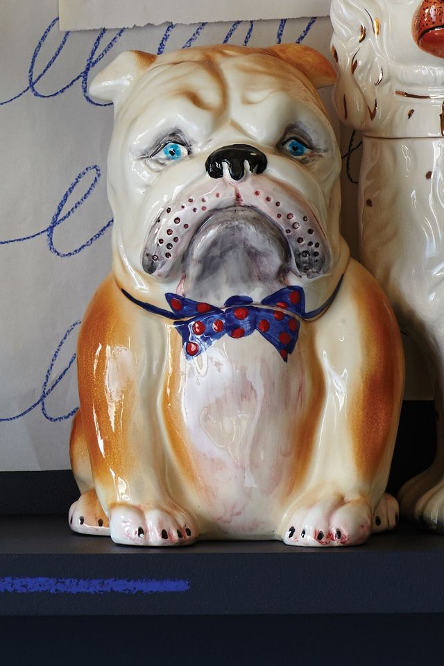 Pedigreed Cookie Jar Bulldog Anthropologie