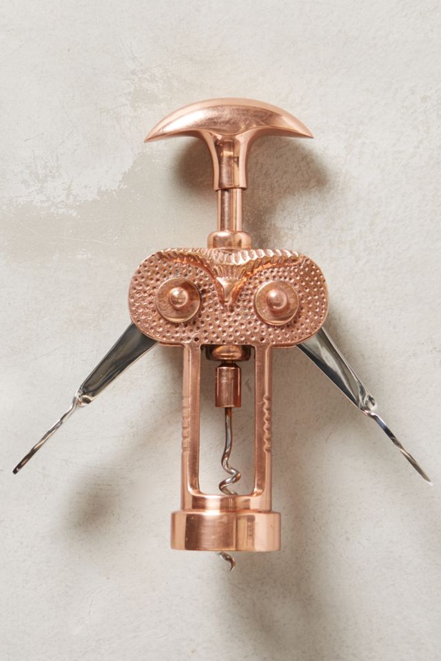Noctua Wing Corkscrew #1