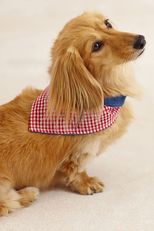 Gingham Check Neckerchief #3