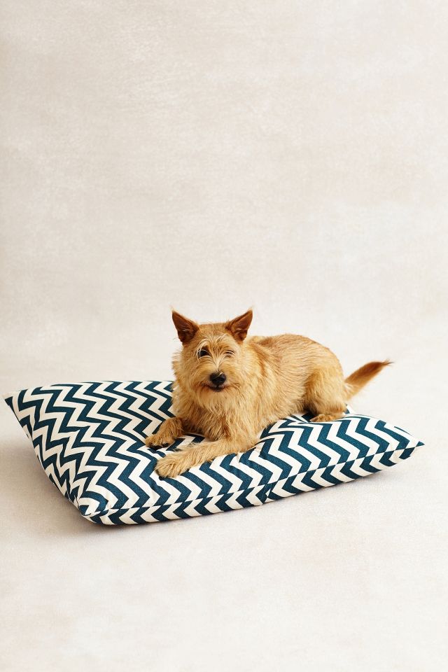 Anthropologie dog bed hotsell