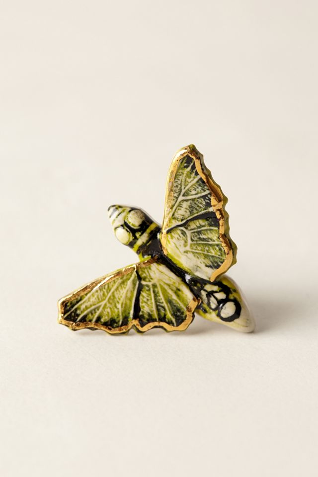 Entomology Knob #2