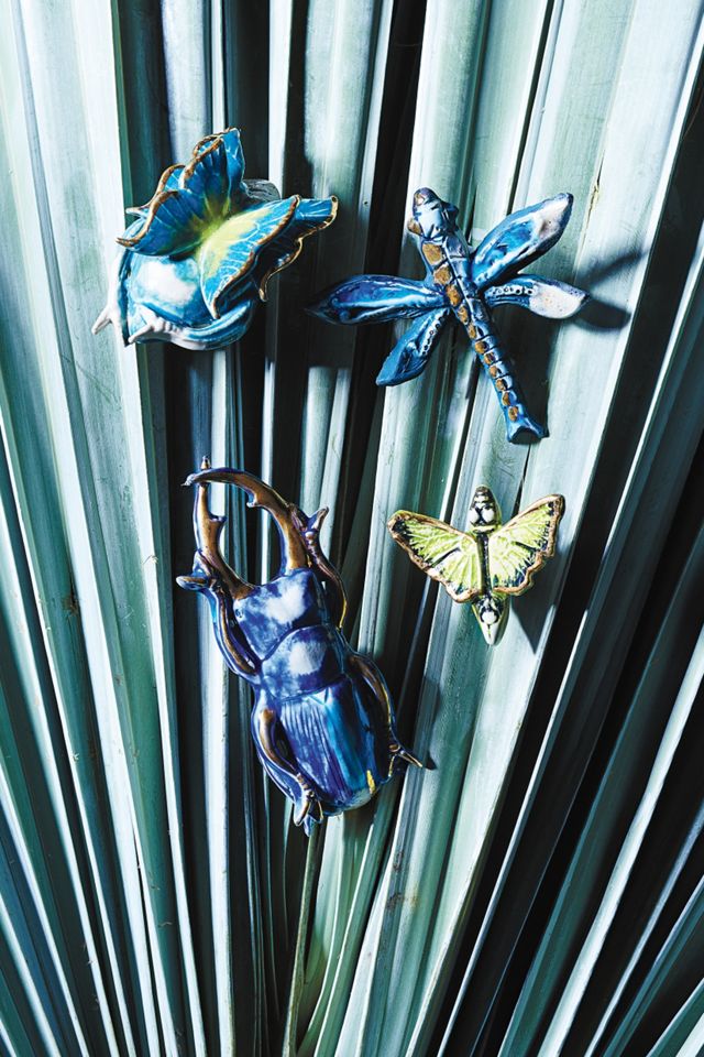 Entomology Knob #4