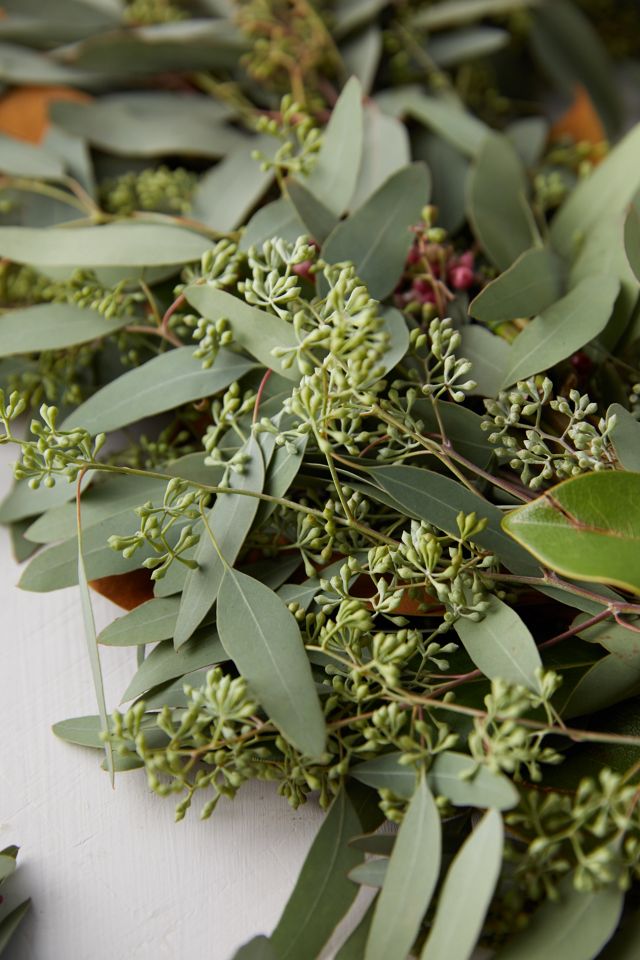 Magnolia & Pepperberry Garland #3