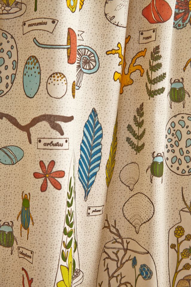 Entomology Shower Curtain  #1