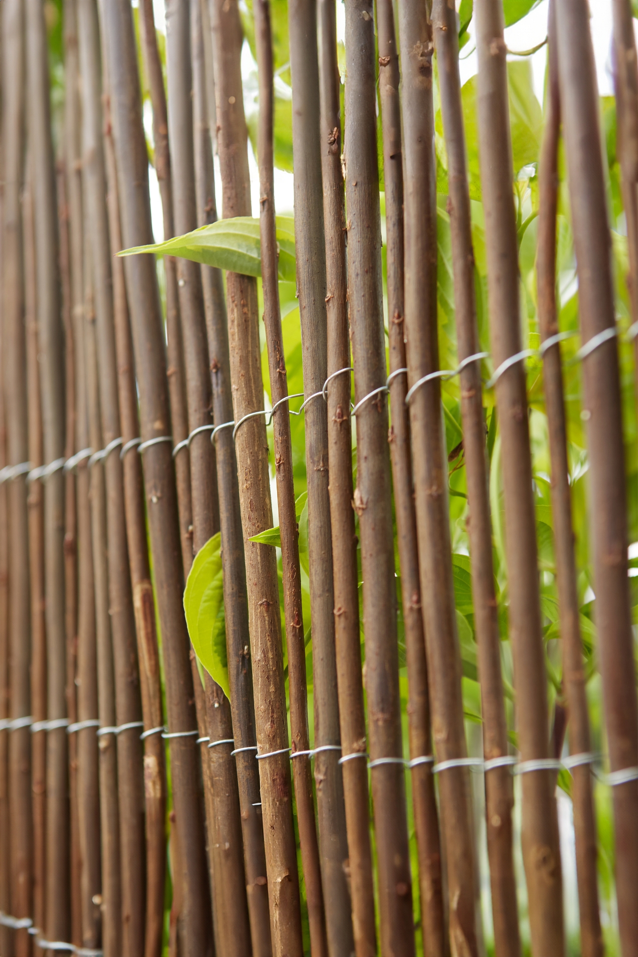 Willow Privacy Fence Panel