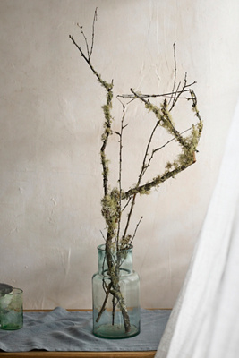 Terrain Moss & Lichen Branches