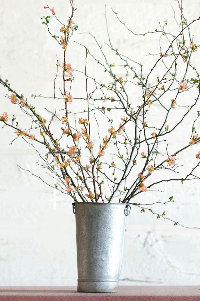 Quince Branches #6